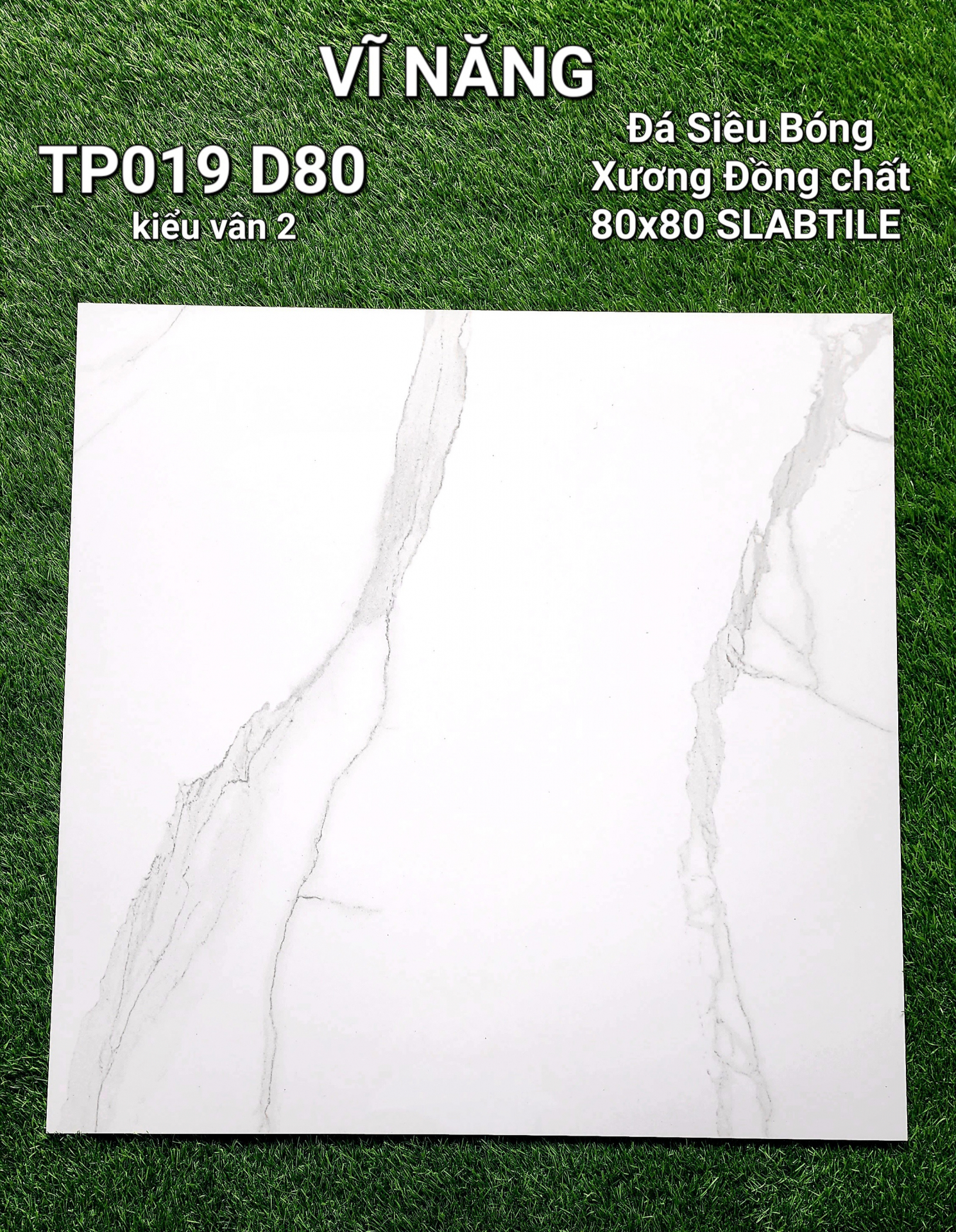 Đá Siêu Bóng 80x80 - TP019D80