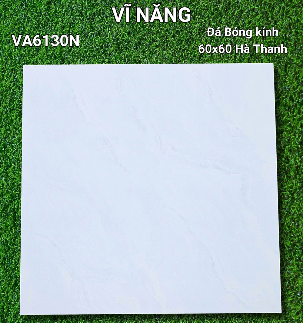 Đá Bóng Kính 60x60 - VA6130N