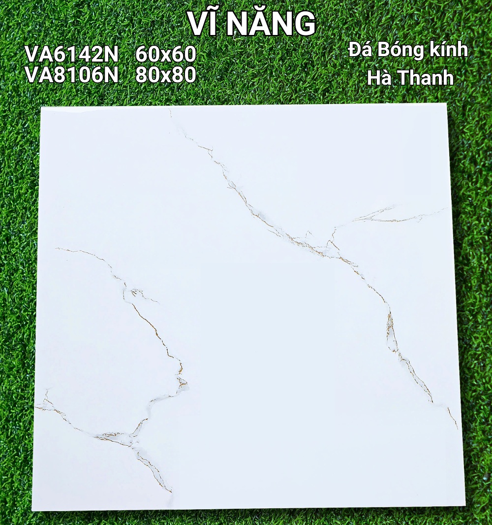 Đá Bóng Kính 60x60 - VA6142N