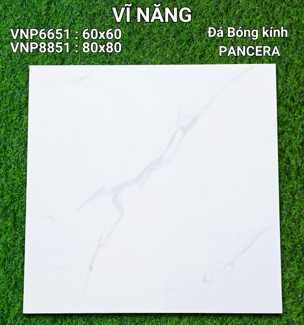 Đá Bóng Kính 80x80 VNP8851
