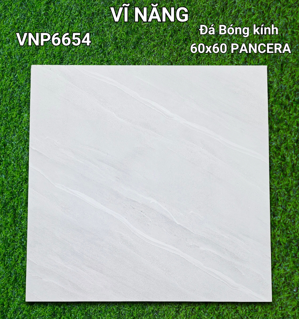 Đá Bóng Kính 60x60 VNP6654