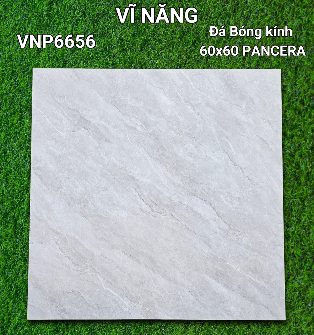 Đá Bóng Kính 60x60 VNP6656