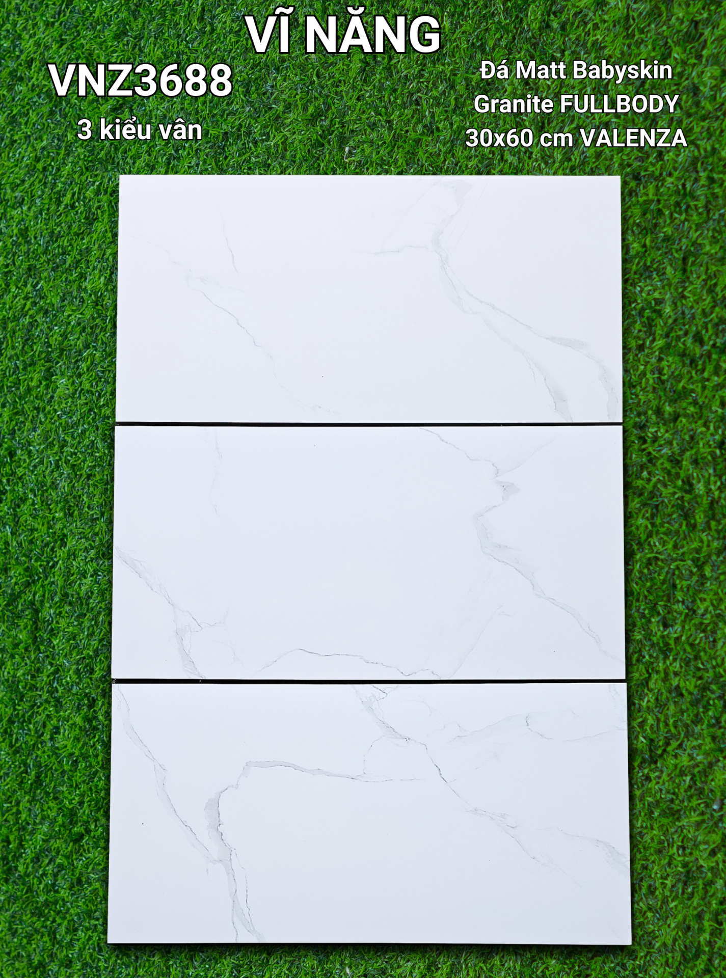 Đá Mờ 30x60 VZ3688