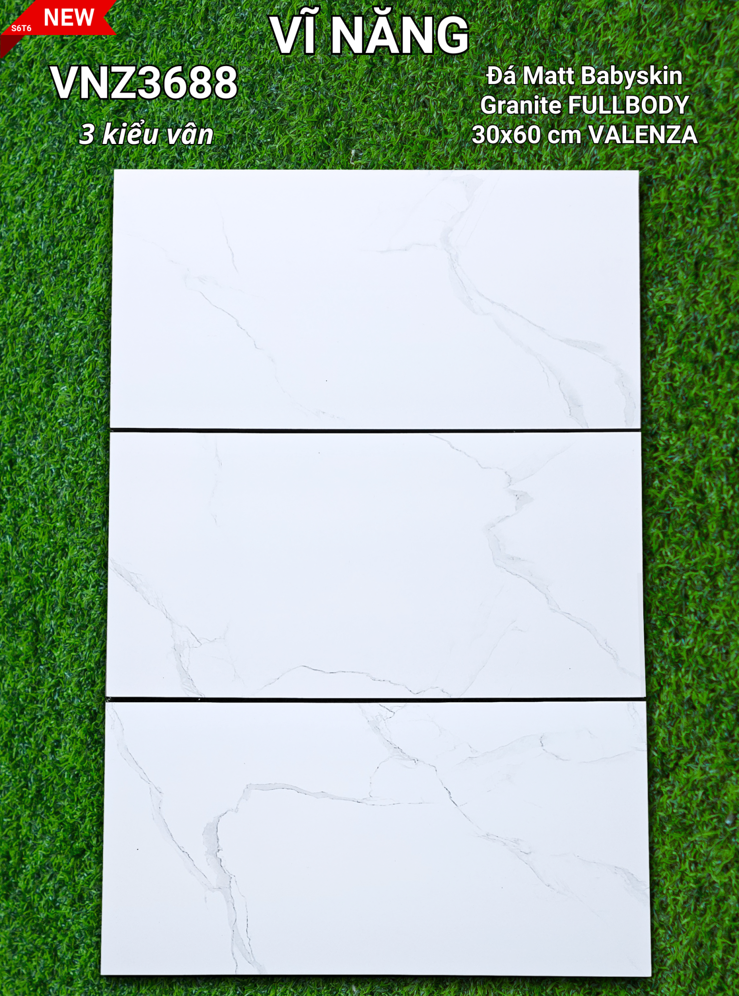 Đá Mờ 30x60 VZ3688