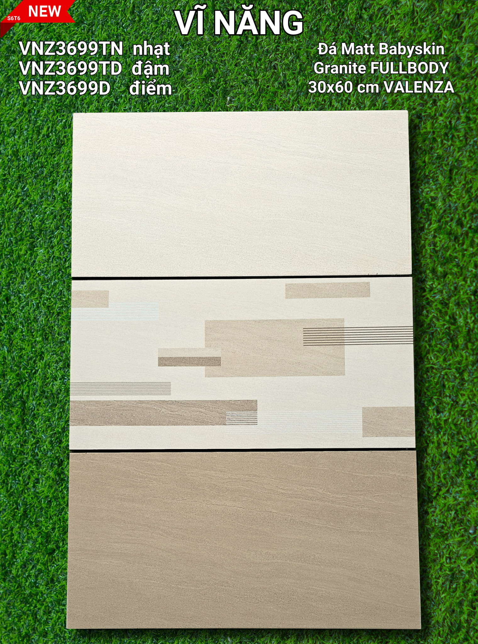 Đá Mờ 30x60 VNZ3699