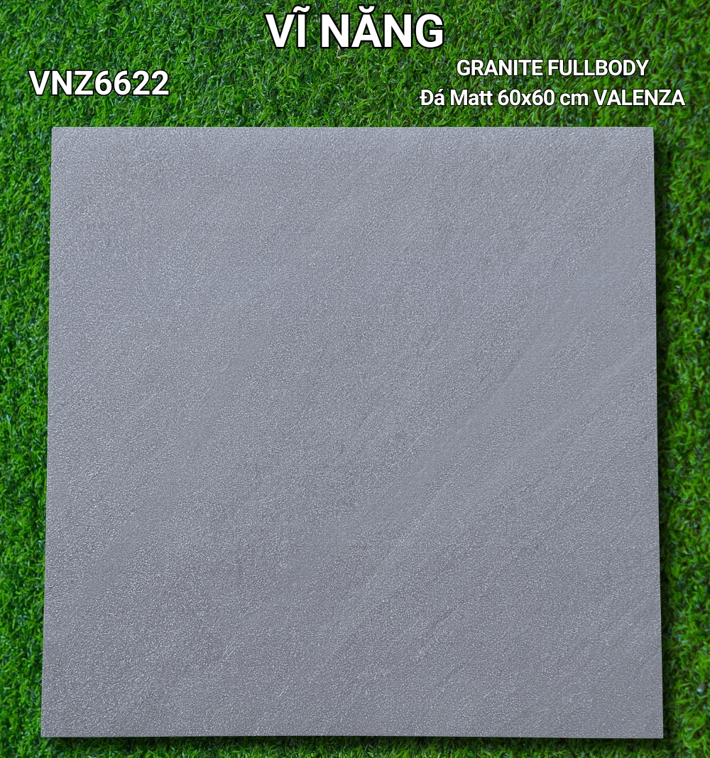 Đá Mờ 60x60 VNZ6622