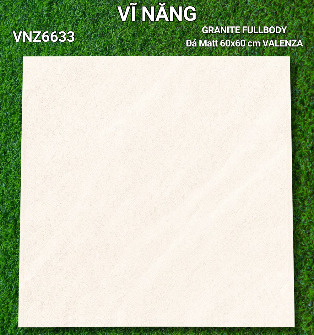 Đá Mờ 60x60 VNZ6633