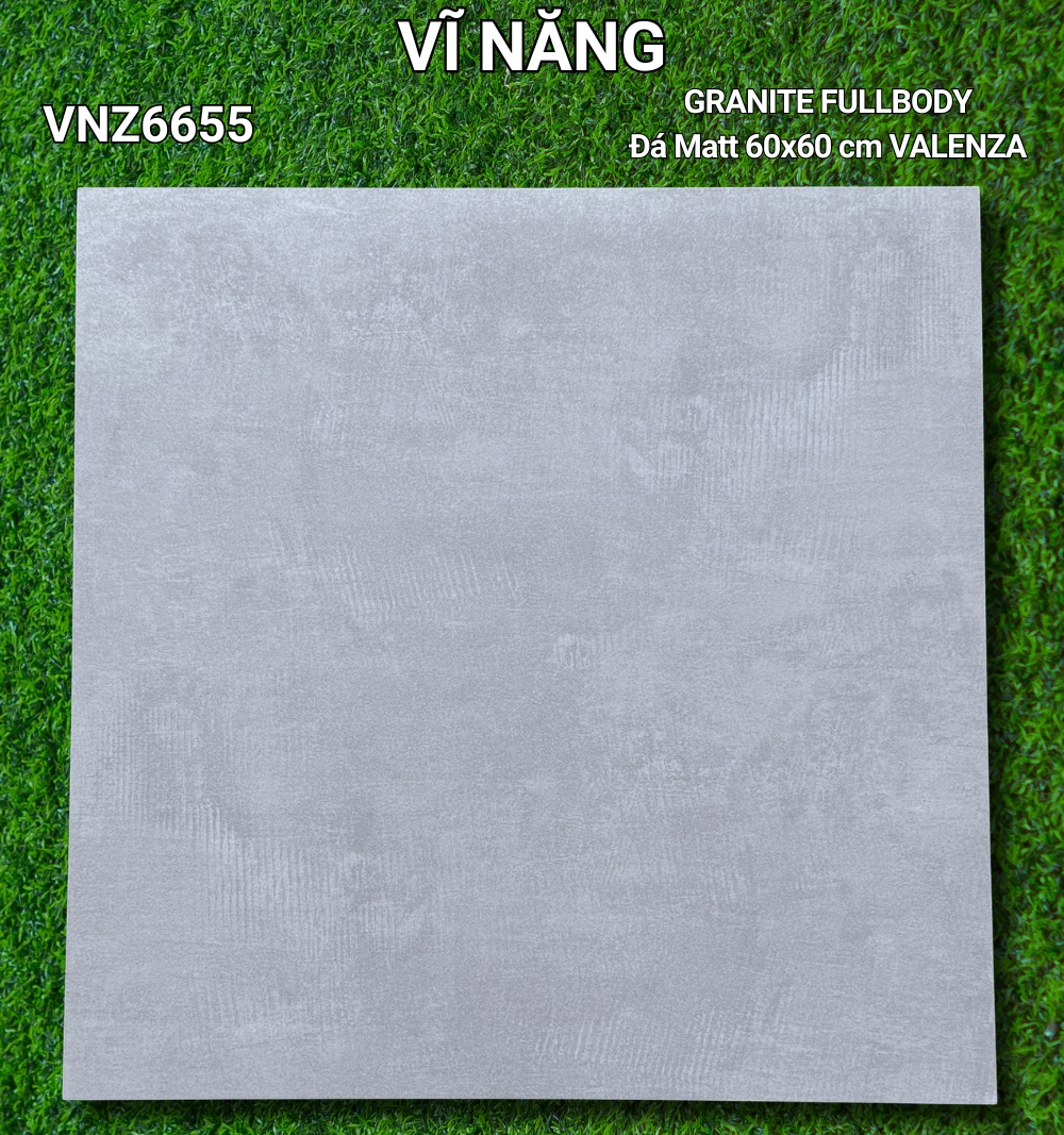 Đá Mờ 60x60 VNZ6655