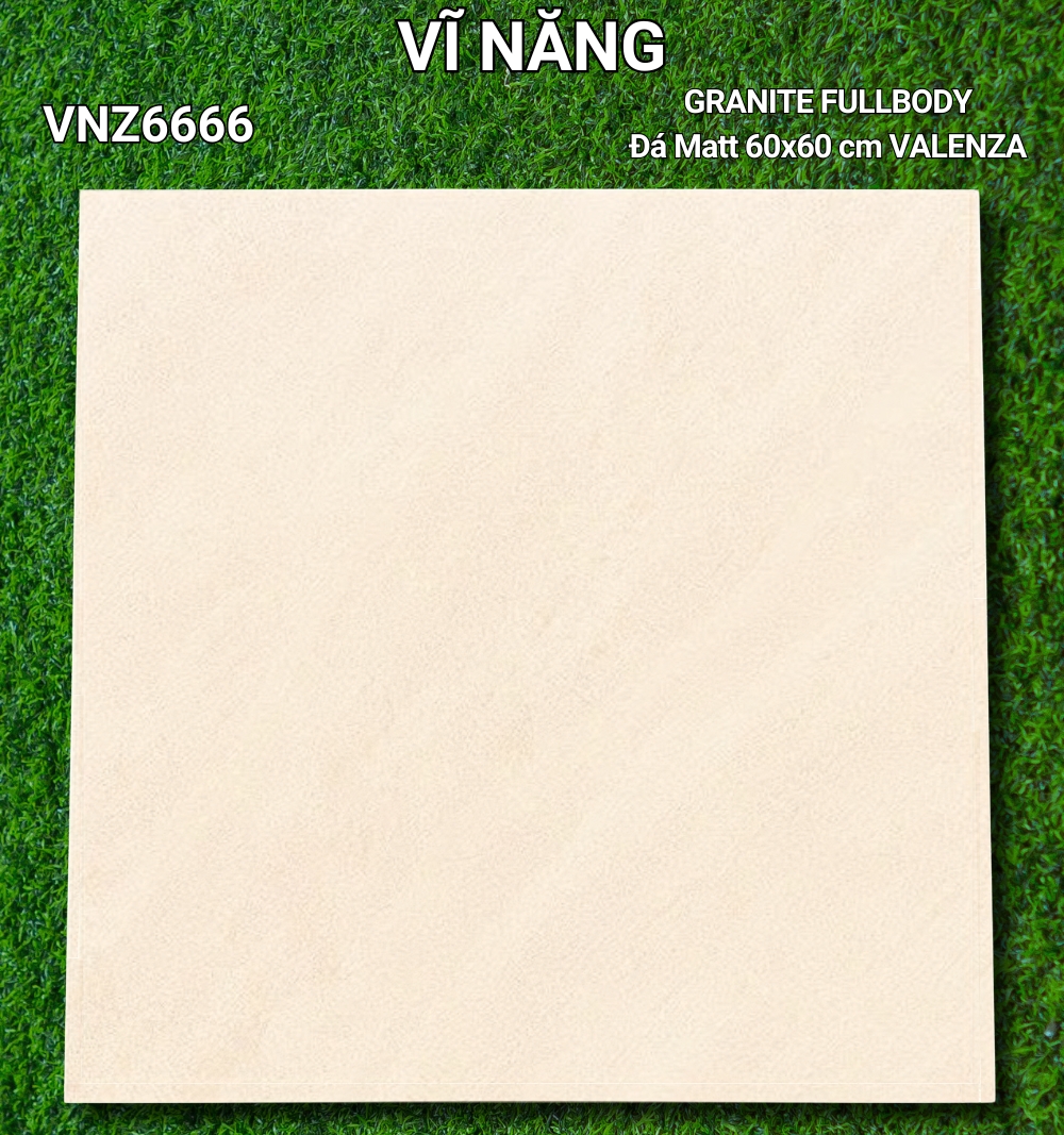Đá Mờ 60x60 VNZ6666