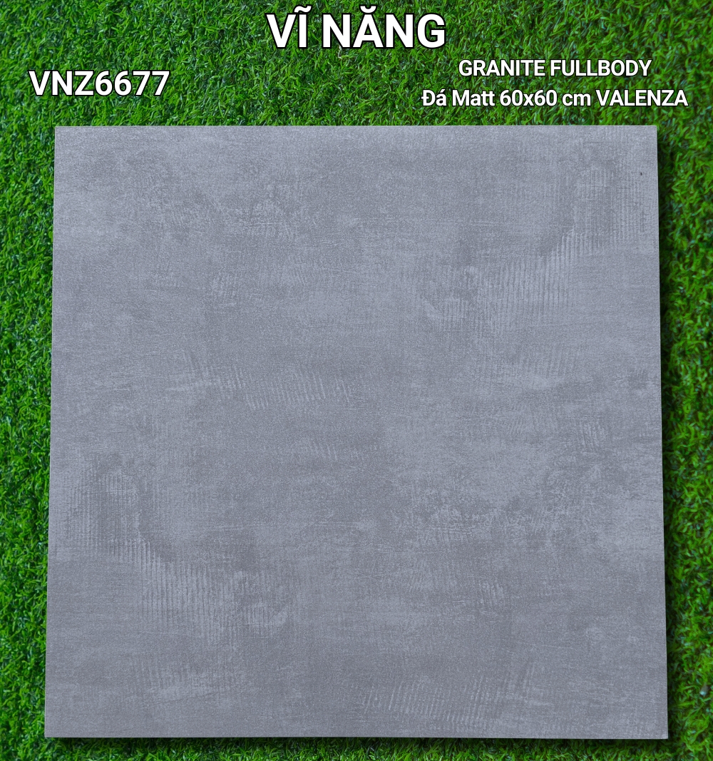 Đá Mờ 60x60 VNZ6677