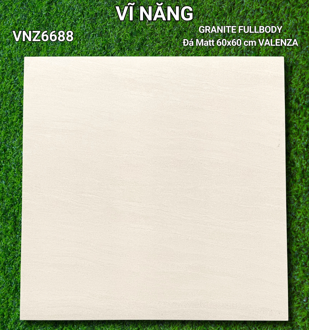 Đá Mờ 60x60 VNZ6688
