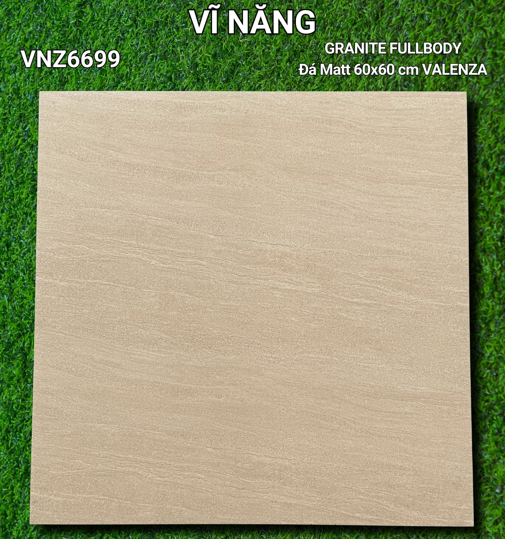 Đá Mờ 60x60 VNZ6699