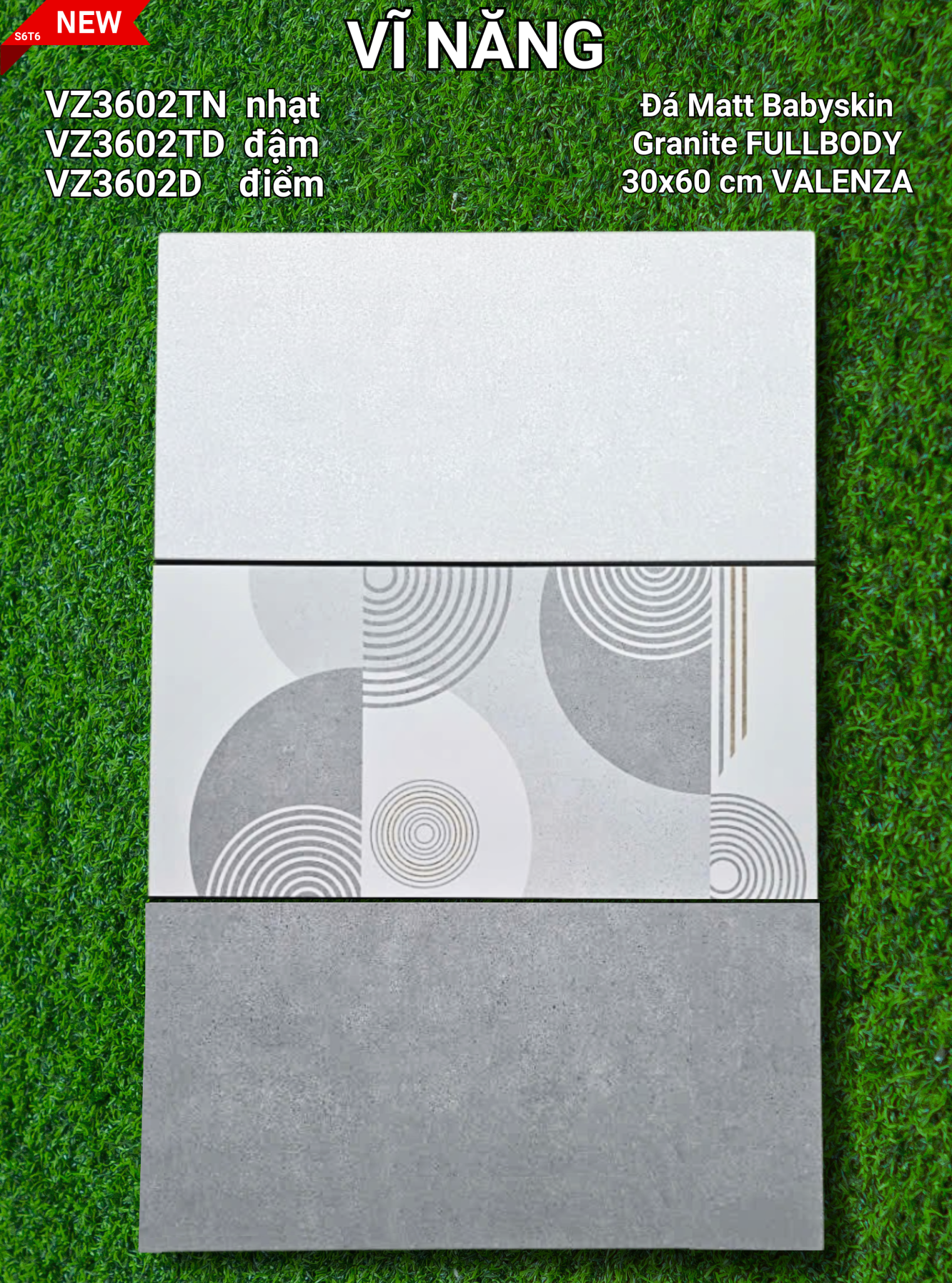 Đá Mờ 30x60 VZ3602