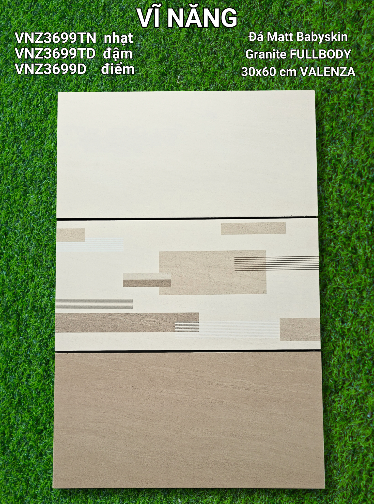 Đá Mờ 30x60 VNZ3699