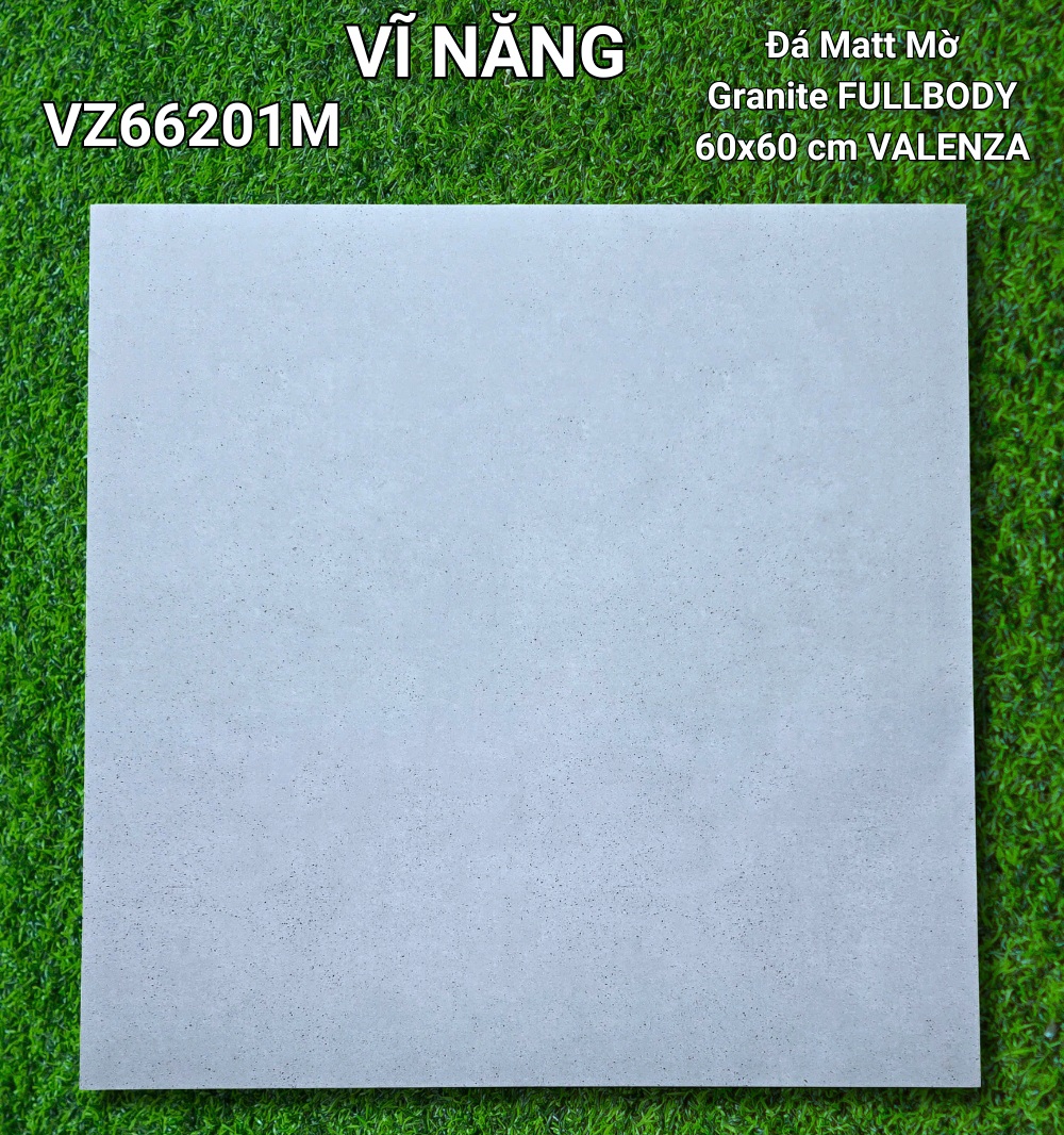 Đá Mờ 60x60 VZ66201M
