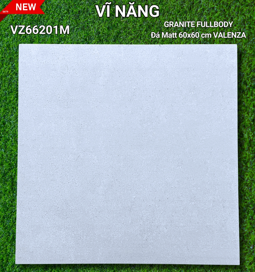 Đá Mờ 60x60 VZ66201M
