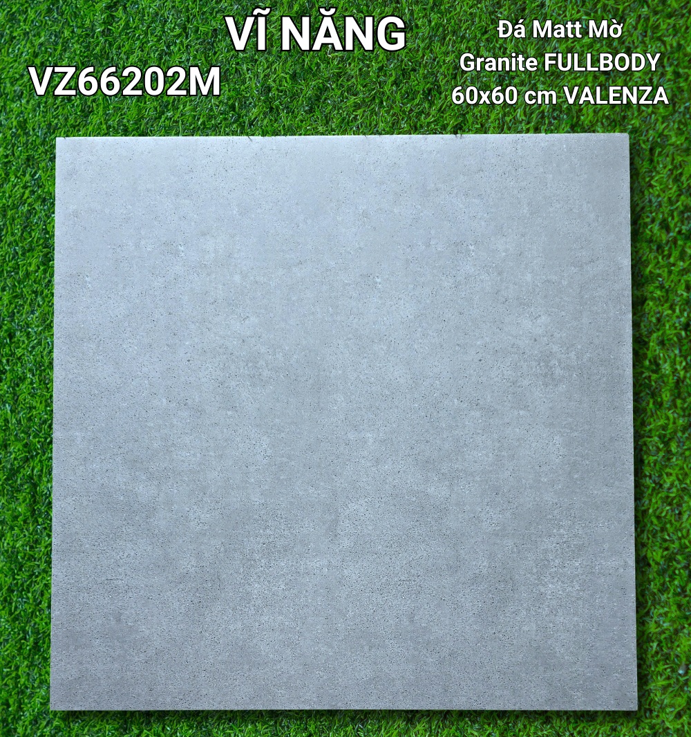 Đá Mờ 60x60 VZ66202M