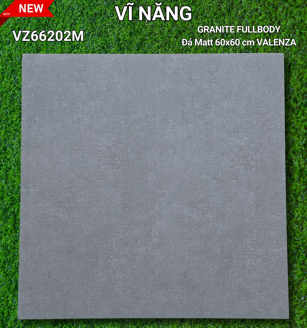 Đá Mờ 60x60 VZ66202M