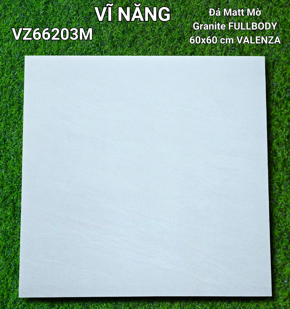 Đá Mờ 60x60 VZ66203M