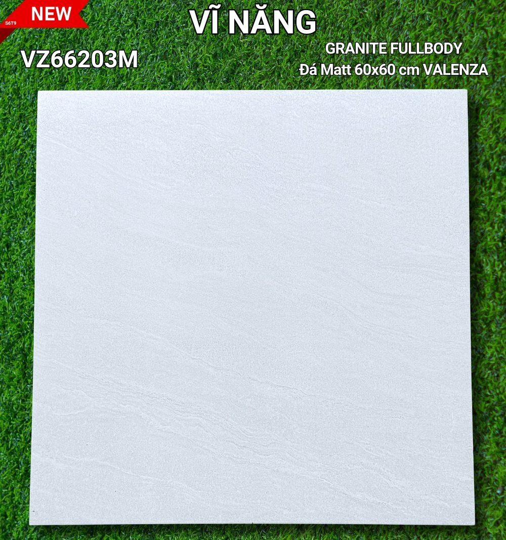 Đá Mờ 60x60 VZ66203M