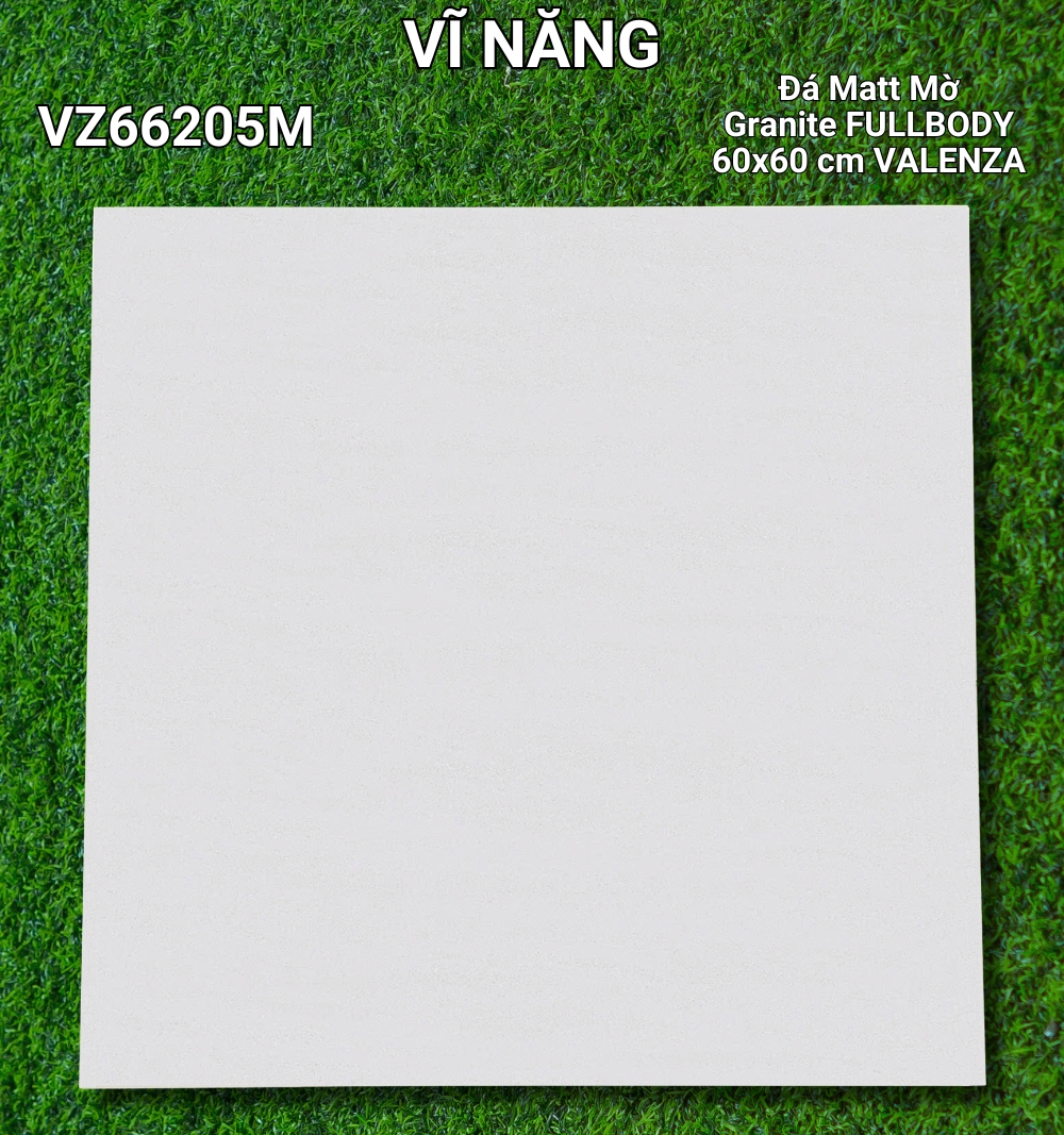 Đá Mờ 60x60 VZ66205M