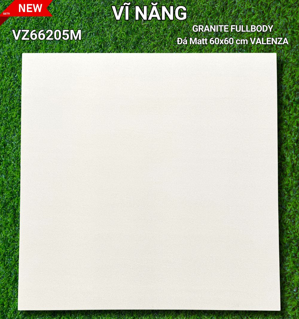 Đá Mờ 60x60 VZ66205M