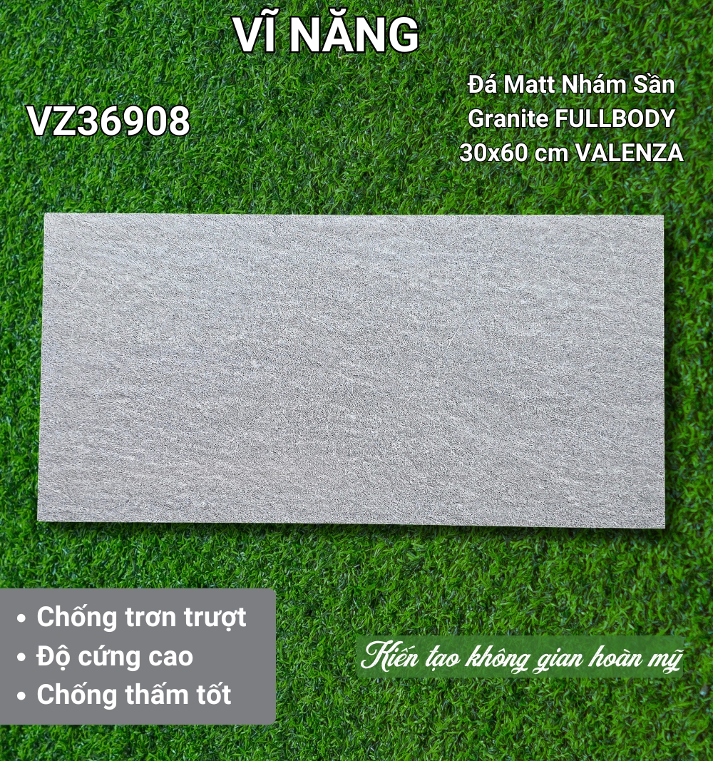 Đá Mờ 30x60 VZ36908